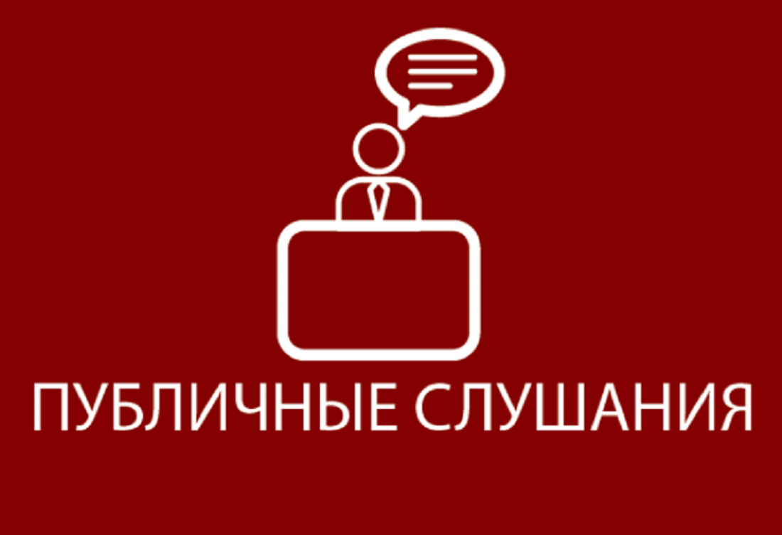 Публичные слушанья по годовому отчету об исполнении бюджета за 2023 год.